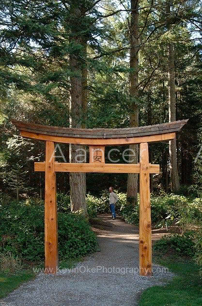 alancer4