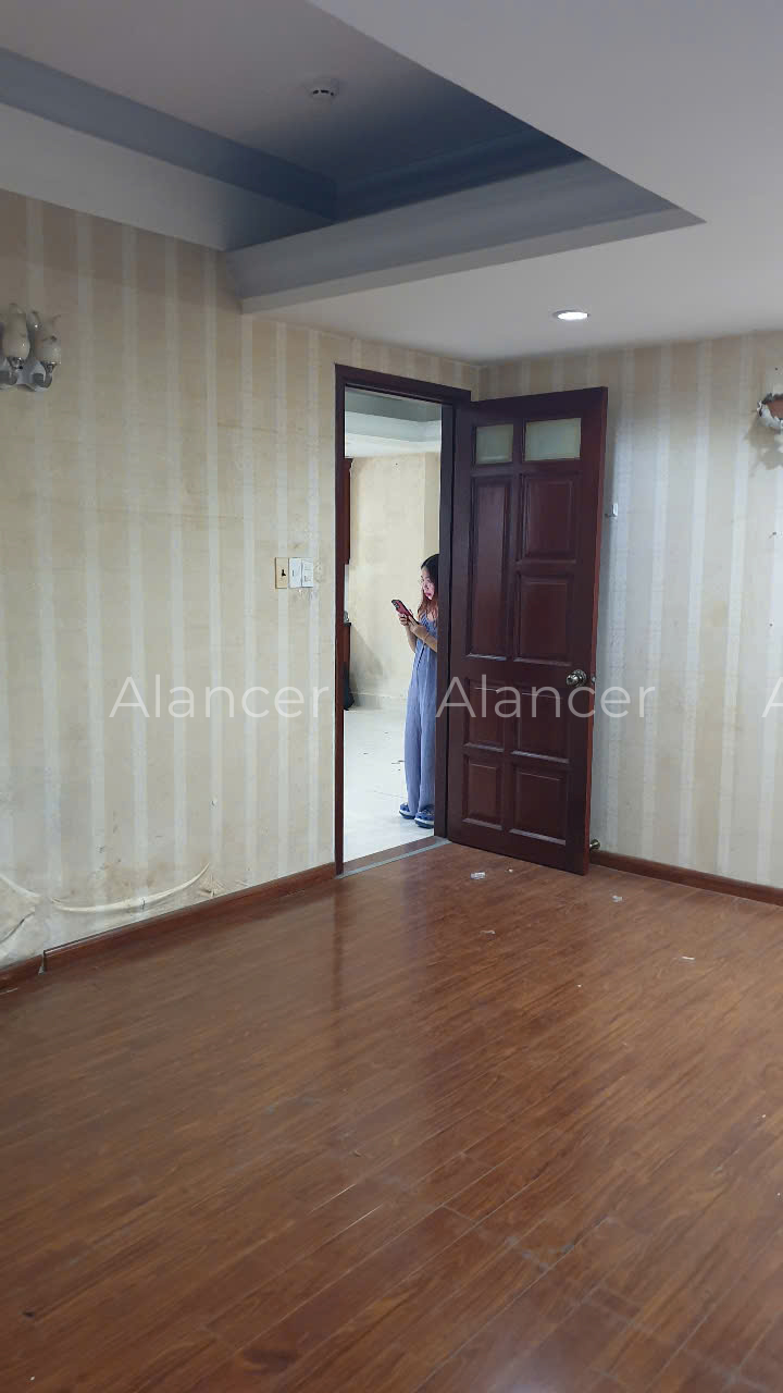 alancer5
