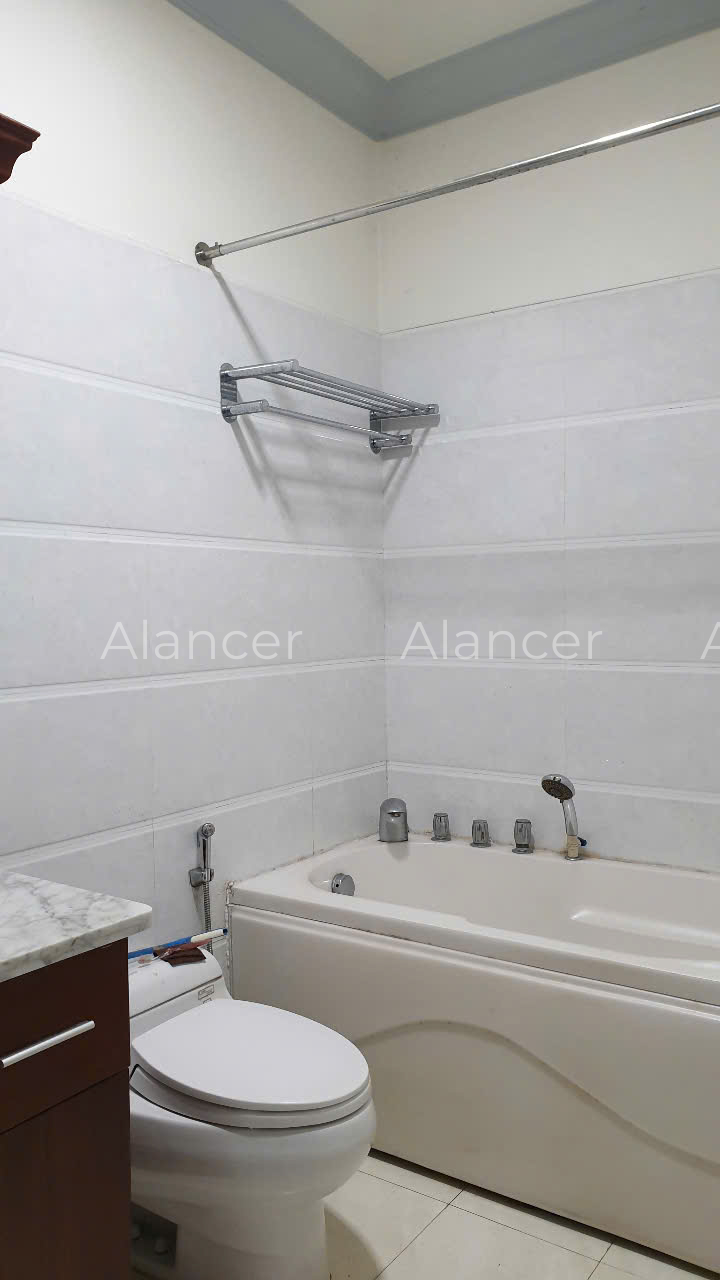 alancer6