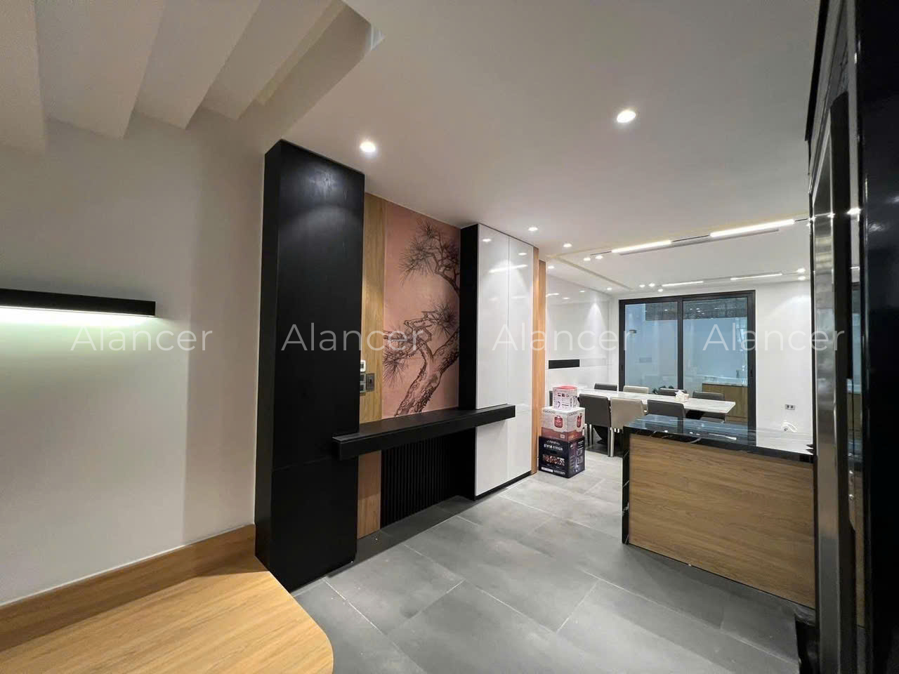 alancer8