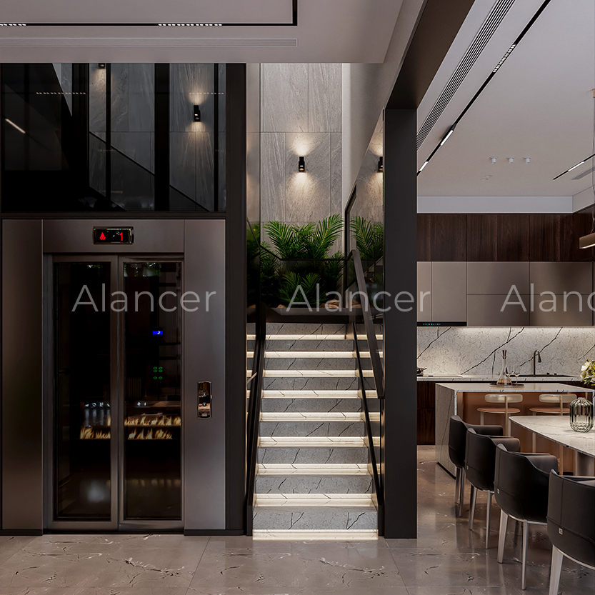 alancer1